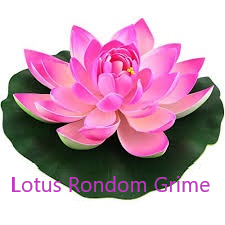partner Lotus rondom grime